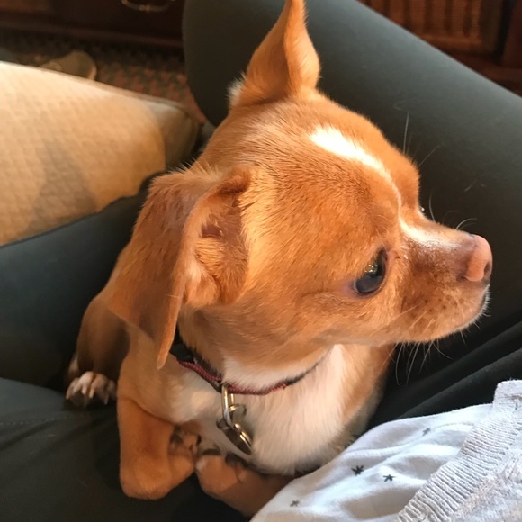 @emilywinsagain always WIN either WIN or LEARN - Picture 3 of 4